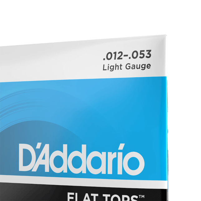 D'Addario EFT16 Phosphor Bronze Flat Tops, Light, 12-53 - immagine 3