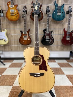 D'Angelico Premier Tammany Natural USATO