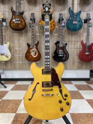 D'Angelico Excel DC Amber