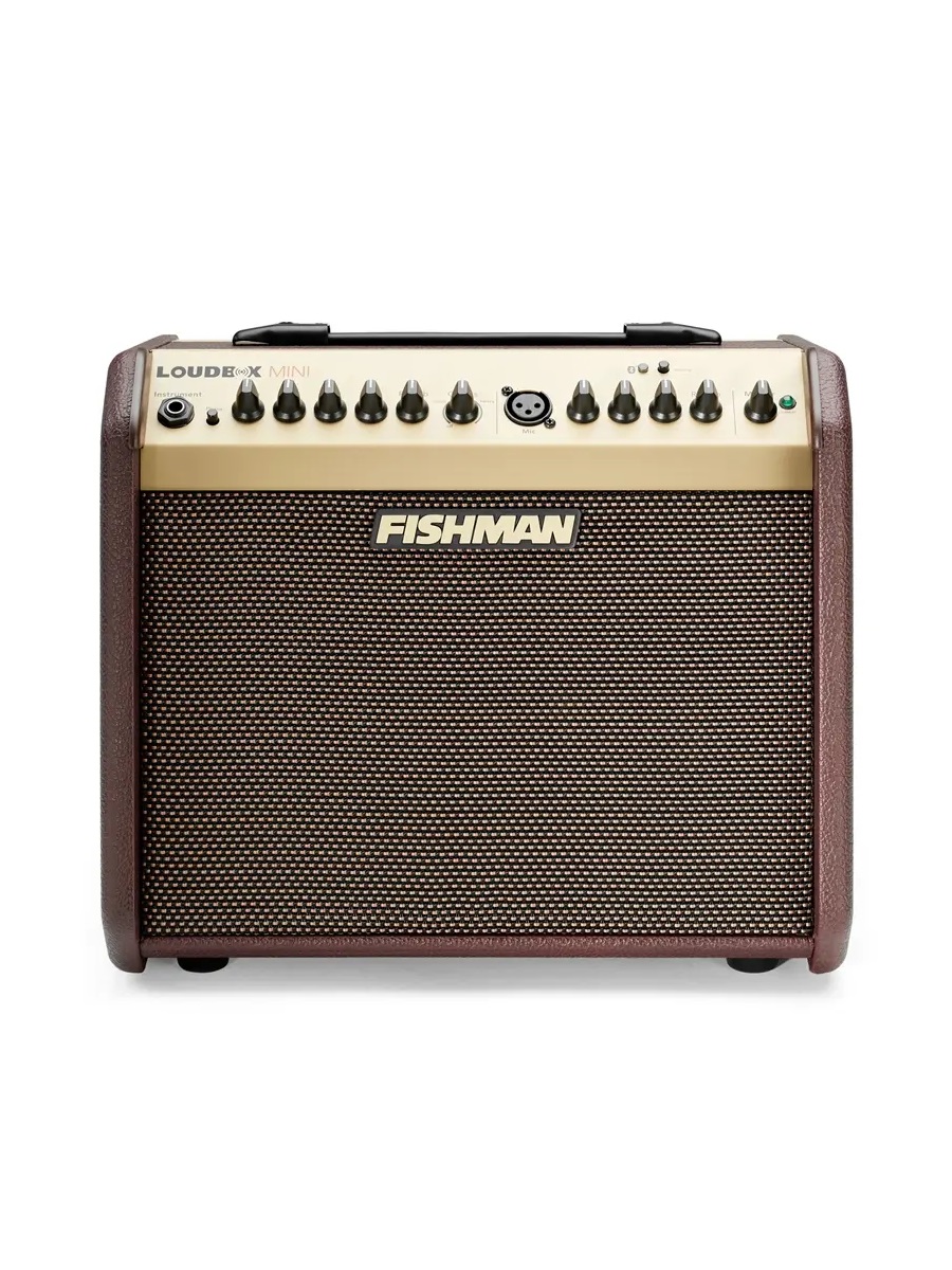 Fishman Loudbox Mini Bluetooth 60W (PRO-LBT-EU5)