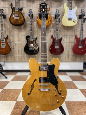 Epiphone Dot Nat USATO